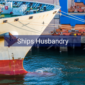 Ships Husbandry and Diving Services